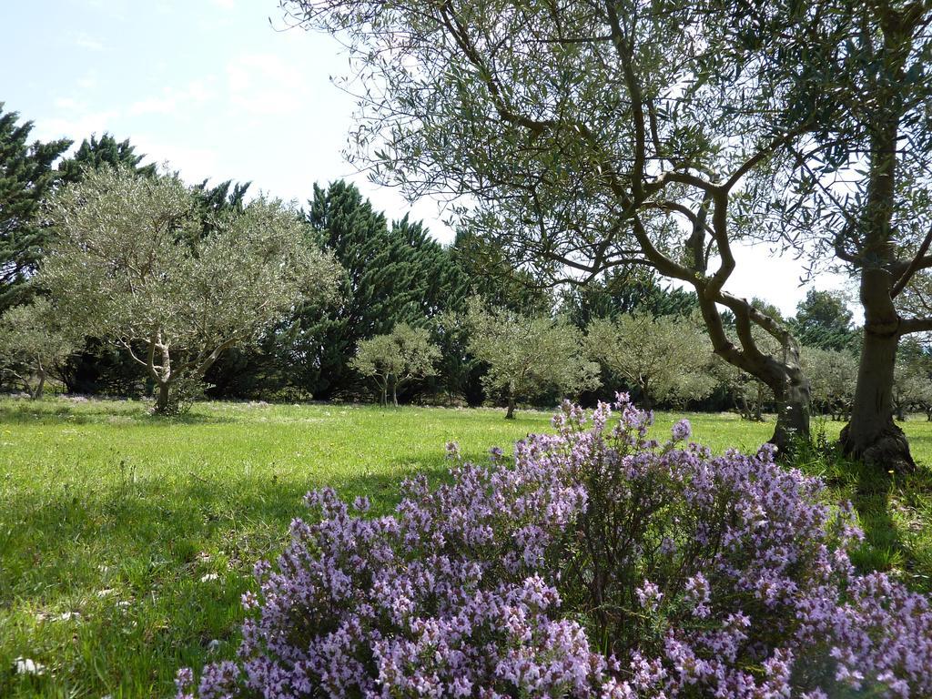 Les Mazets Du Luberon Bed and Breakfast Puget Exteriör bild